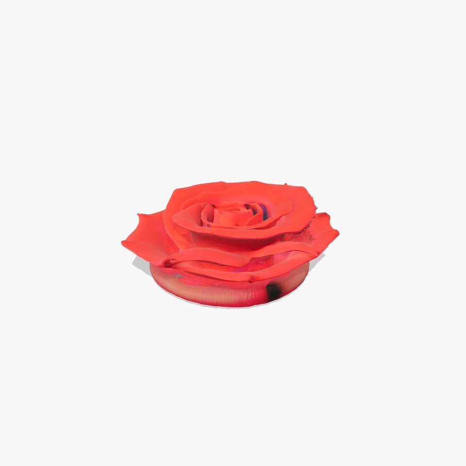 Crimson Rose Blossom model pack